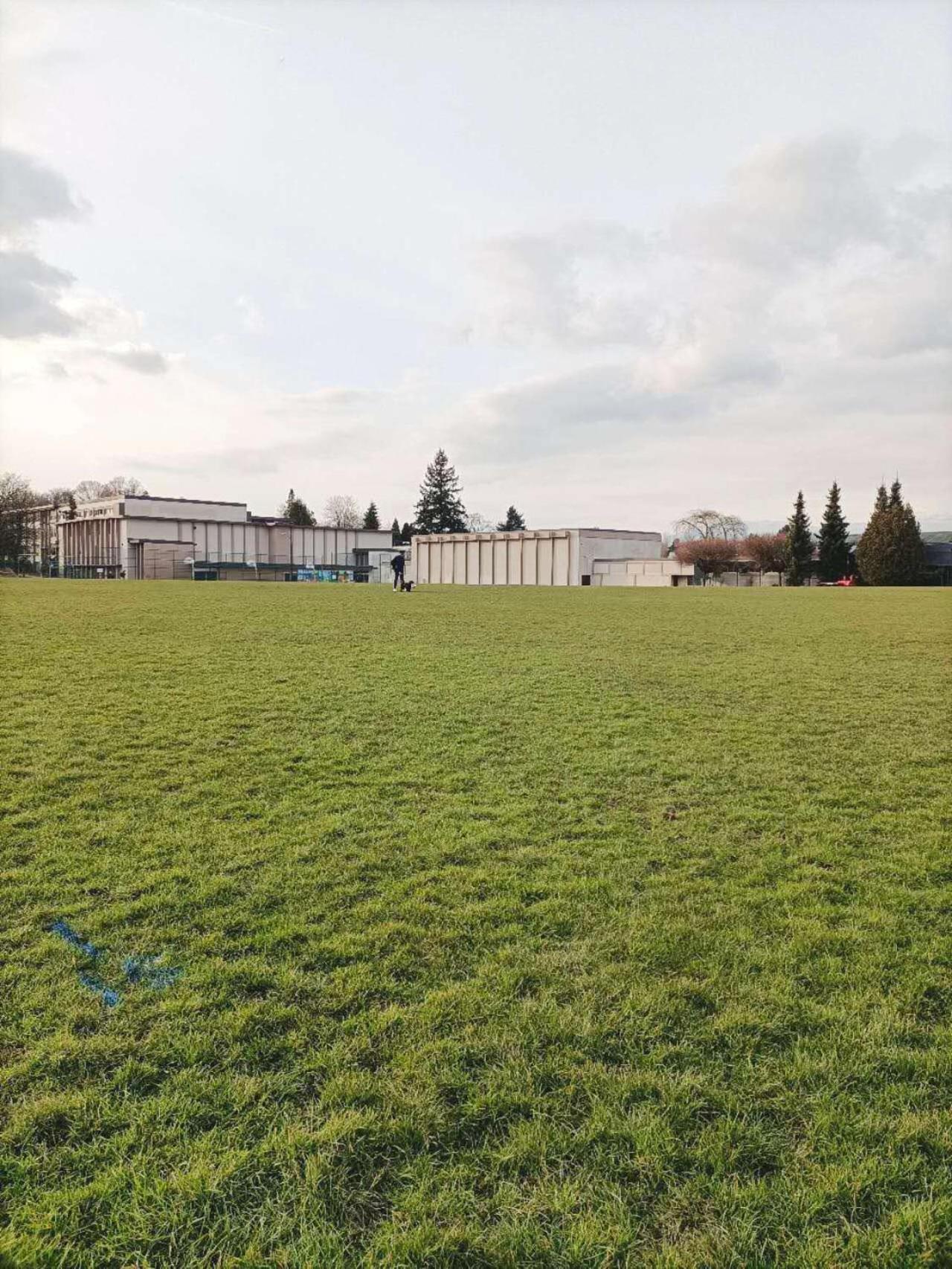 Llt Fraser Homeaway Vancouver Dış mekan fotoğraf